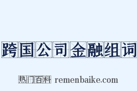 跨国公司金融组词是什么意思的图片